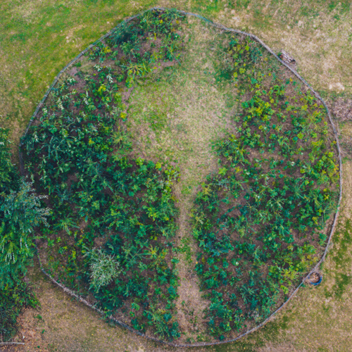 photo de la vidéo Ecologie 