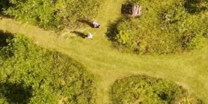 photo de la vidéo Bois de fa